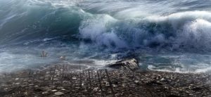 natural hazard tsunami natural disaster 