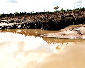Oil spill degradation