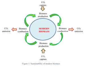 biomass ecosystem