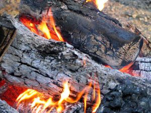 biomass energy, bioenergy, firewood
