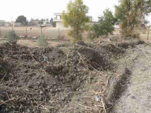 environmental remediation, soil amendment