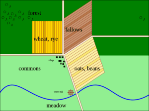 three field crop rotation