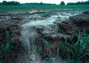 stormwater pollution , erosion