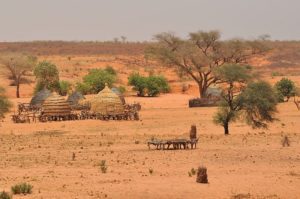 "Moderate Desertification" as one of the Types of Desertification (Credit: NigerTZai 2019 .CC BY-SA 4.0.)