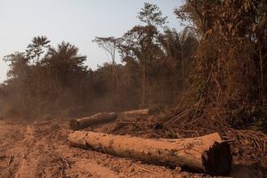 Causes of Desertification: Deforestation (Credit: Amazônia Real 2020 .CC BY 2.0.)