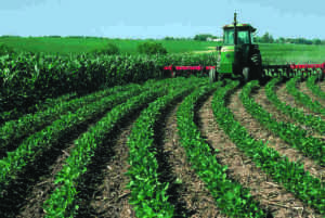 Contour Farming Benefits: Crop Protection and Productivity (Credit: USDA NRCS Photo Gallery 2011)