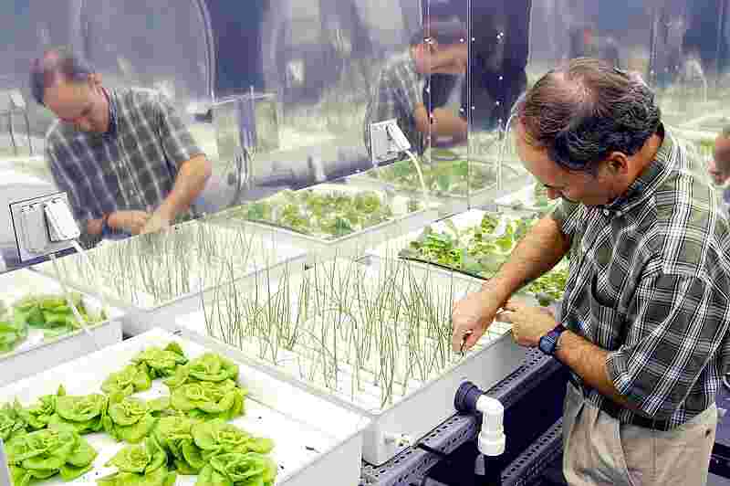 sustainable farming hydroponics