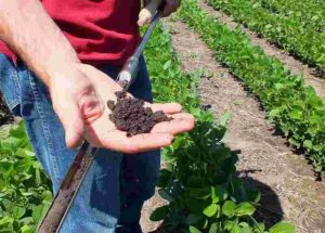 Benefits of Sustainable Agriculture: Healthy Soil as a Result of Conservation (Credit: USDA NRCS South Dakota 2013 .CC BY-SA 2.0.)