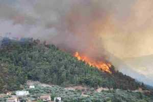Causes of Soil Erosion: Forest Fire (Credit: Lotus R 2007 .CC BY-SA 2.0.) 