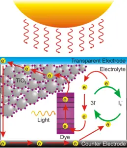 Organic Solar Cell Materials: Photosynthetic Dye (Credit: M. R. Jones 2009)