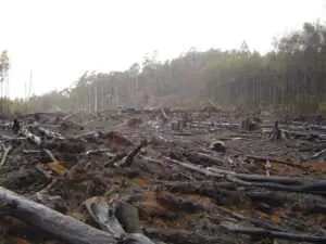 Examples of Resource Depletion: Deforestation and De-vegetation (Credit: crustmania 2006 .CC BY 2.0.)