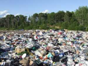 Effects of Landfills on the Environment: Littering (Credit: Michelle Arseneault 2008 .CC BY-SA 3.0.)