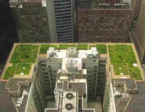 Green Roof Architecture as a function of Geometry and Dimensions (Credit: TonyTheTiger 2010 .CC BY-SA 3.0.)