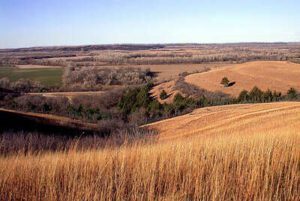 Prairie Examples: Great Plains, North America (Credit: U.S. Fish and Wildlife Service Headquarters 2003 .CC BY 2.0.)
