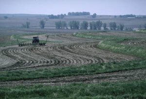 Regenerative Agriculture Examples: Cover Cropping and Contour Cultivation on Undulating Pastoral Land (Credit: U.S. Department of Agriculture 2019)
