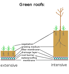 Comparison between Extensive and Intensive Green Roofs (Credit: Genetics4good 2014 .CC BY-SA 4.0.)