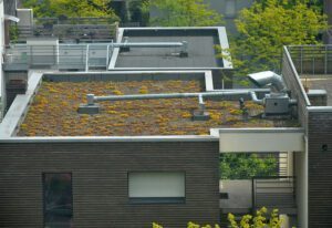 Types of Green Roofs: Intensive Green Roof (Credit: Lamiot 2013 .CC BY-SA 3.0.)