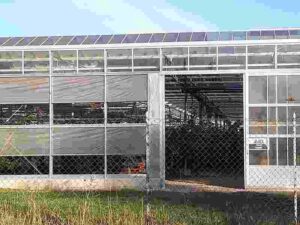 Agrivoltaic Greenhouse as an Innovative Technological Assemblage (Credit: Emilio Roggero 2021 .CC0 1.0.)