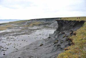 Tundra Characteristics: Thin Humus Soil with Permafrost (Credit: Boris Radosavljevic 2012 .CC BY 2.0.)
