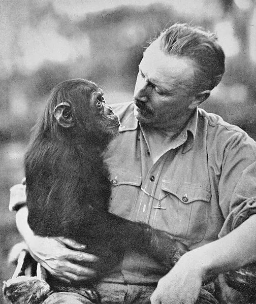 Chimpanzee Vs Human