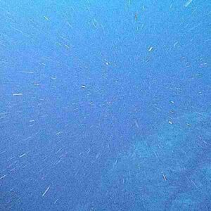 Abiotic Factors in the Abyssal Zone: Marine Snow is a Source of Organic Matter and Nutrients to Organisms in the Deep Sea (Credit: NOAA National Ocean Service 2018)