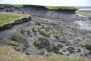 Abiotic Factors in the Arctic: Vast Expanses of Permafrost Area, are a Typical Feature of the Arctic Region (Credit: Boris Radosavljevic 2013 .CC BY 2.0.)