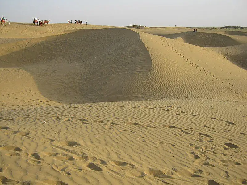 Abiotic Factors in the Desert