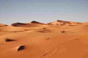Abiotic Factors in the Sahara Desert: Intense Heat Contributes to the Sahara's Arid Conditions (Credit: Andrzej Kryszpiniuk 2017 .CC0 1.0.)