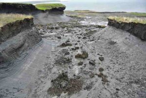 Abiotic Factors in the Tundra: Permafrost is a Component of Tundra Soil (Credit: Boris Radosavljevic 2013 .CC BY 2.0.)