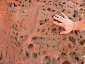 Agents of Weathering: Honeycomb Deterioration is an Example of the Effects of Salt Weathering Processes (Credit: Wilson44691 2010)