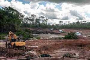 What Does the Amazon Rainforest Provide?: Artisanal and Small-Scale Mining Offers Income Opportunities for Amazonian Locals (Credit: Ibama 2018 .CC BY-SA 2.0.)