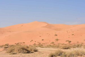 Biggest Deserts in the World: Arabian Desert (Credit: Prof. Mortel 2021 .CC BY 2.0.)