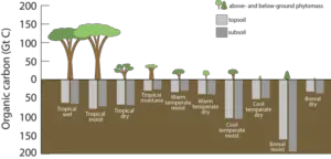 Carbon Cycle Examples: An Illustration of Photosynthetic-Carbon Sequestration for Different Ecosystems (Credit: Zac Kayler, Maria Janowiak, Chris Swanston 2017)