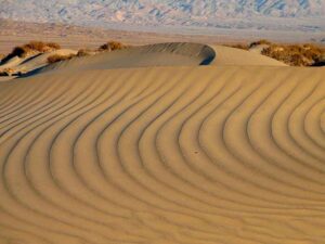 Characteristics of Desert Biome: Ripples and Dunes as Desert-Aeolian Geographic Features (Credit: National Park Service 2006)