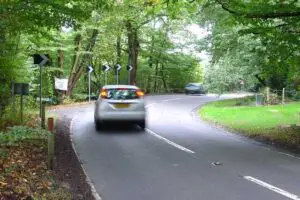 Effects of Noise Pollution: Organisms in Patches of Natural Habitat Close to Noisy Areas Like Highways Can be Adversely Affected (Credit: Pete Chapman 2005 / Road Bend on Forest Road, between Horsham and Colgate, West Sussex / .CC BY-SA 2.0.)