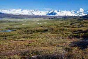 Facts About the Tundra: Brief Growing Season and Extreme Cold are Factors Behind the Low Relative Biodiversity of Tundras (Credit: Bureau of Land Management 2014, uploaded online 2015 .CC BY 2.0.)