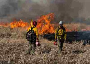Human Impacts On the Savanna Ecosystem: Prescribed Burning can Alter the Natural Fire Regimes of Savannas (Credit: National Interagency Fire Center 2020)