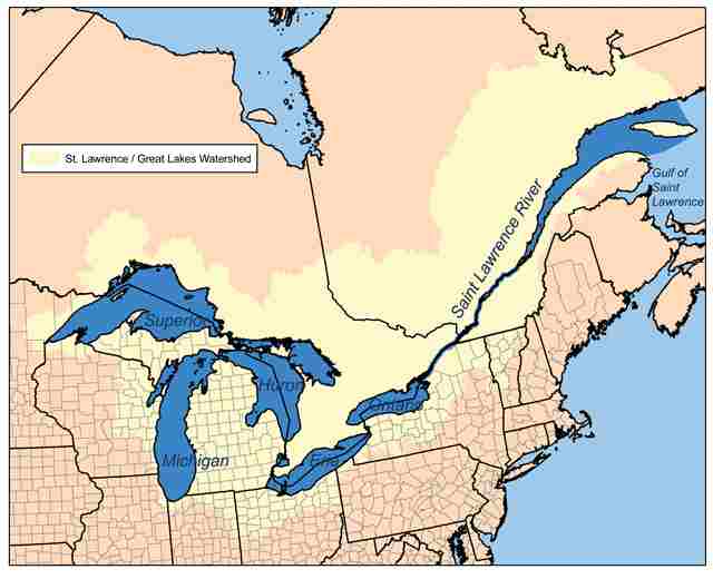 What is the Largest Estuary In the World? Insights into Large Estuarine Systems