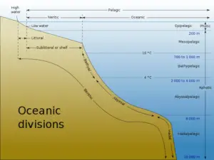 Characteristics of Marine Ecosystem: Vertical Zonation of the Ocean as a Result of Variations in Conditions (Credit: Chris huh 2006 .CC BY-SA 3.0.)