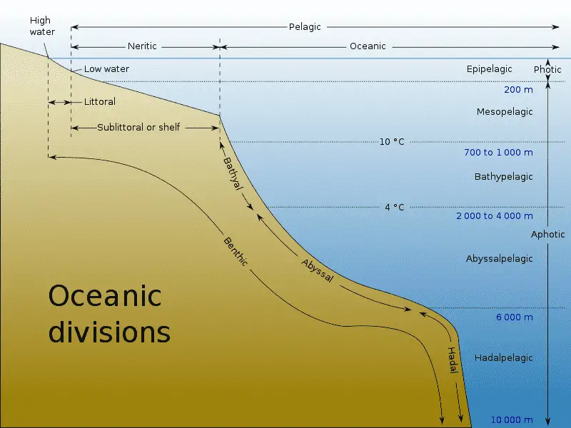 Marine Ecosystems Definition