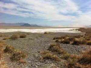 Mojave Desert Abiotic Factors: Salt Flats and Saline Soils Occur in Parts of the Mojave Desert (Credit: Wasteland Wanderer 2012 .CC BY 3.0.)