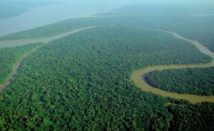 Tropical Rainforest Location(s): Amazon Rainforest is the Most Famous Tropical Rainforest on Earth (Credit: lubasi 2009 .CC BY-SA 2.0.)