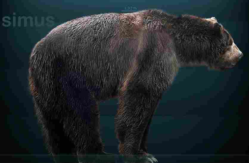Short Faced Bear Vs Polar Bear: Given the Period of Their Existence, Short Faced Bears Were Likely Affected Less by Human Activities Than Modern Day Polar Bears (Credit: Sergiodlarosa 2010 .CC BY-SA 3.0.)