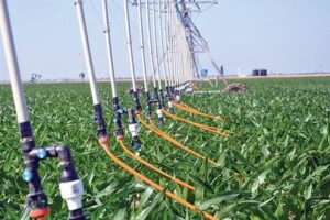 Solutions to Agricultural Pollution: Sustainable Irrigation Reduces Wastewater Generation-Rate (Credit: K-State Research and Extension 2016 .CC BY 2.0.)