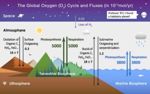 Steps of Oxygen Cycle Process: Oxygen Biogeochemical Cycle Showing Mainly Natural Oxygenic Processes (Credit: Pengxiao Xu 2019 .CC BY-SA 4.0.)