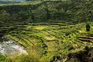Terrace Farming Examples: Andenes of Peru (Credit: Jospastor 2010 .CC BY-SA 4.0.)