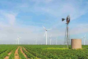 Wind Turbine Advantages: On Farms, Wind Turbines Occupy a Relatively Small Area and Do Not Interfere With Agricultural Activities (Credit: Matthew T Rader 2014 .CC BY-SA 4.0.)