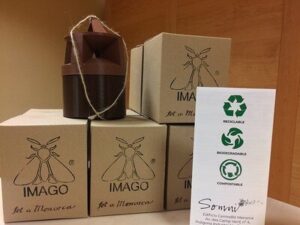 Ways to Prevent Land Pollution: Biodegradable Packaging as a Sustainable Alternative to Non-Biodegradable Options (Credit: Fundació Bit 2018 .CC BY 2.0.)