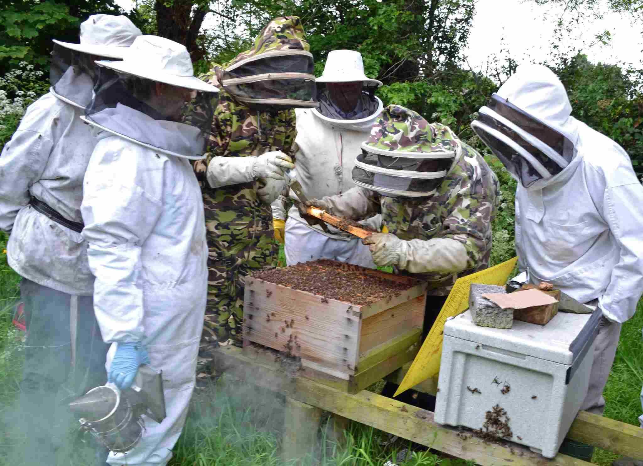 What is a Beekeeper Called: The Role of a Beekeeper Includes Setting-Up and Monitoring Beehives (Credit: Conall 2014 .CC BY 2.0.)